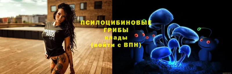 купить  сайты  Химки  Псилоцибиновые грибы мухоморы 