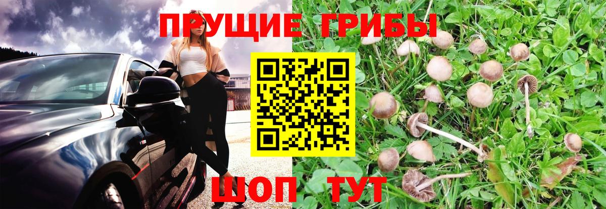 Химки  Галлюциногенные грибы ЛСД  Вход с VPN 