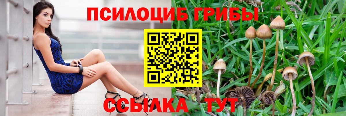 купить  сайты  Псилоцибиновые грибы Magic Shrooms  Химки  Галлюциногенные грибы мицелий 