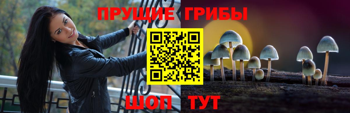 Галлюциногенные грибы мухоморы Химки